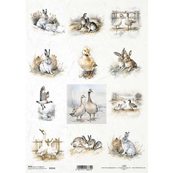 Papier ryżowy A4 R2350 króliki, kaczki, gęsi